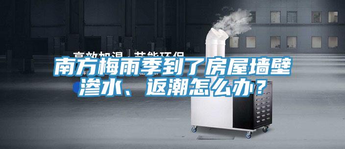 南方梅雨季到了房屋牆壁滲水、返潮怎麽辦？