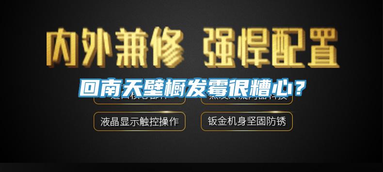 回南天壁櫥發黴很糟心？