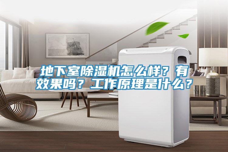 地下室PICACG哔咔官网入口怎麽樣？有效果嗎？工作原理是什麽？