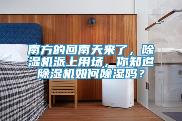 南方的回南天來了，PICACG哔咔官网入口派上用場，你知道PICACG哔咔官网入口如何除濕嗎？