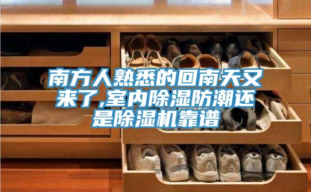 南方人熟悉的回南天又來了,室內除濕防潮還是PICACG哔咔官网入口靠譜