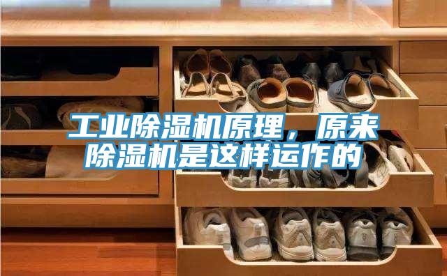 工業PICACG哔咔官网入口原理，原來PICACG哔咔官网入口是這樣運作的