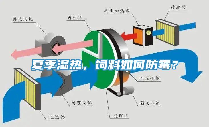 夏季濕熱，飼料如何防黴？