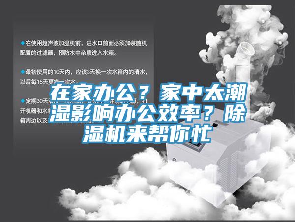 在家辦公？家中太潮濕影響辦公效率？PICACG哔咔官网入口來幫你忙