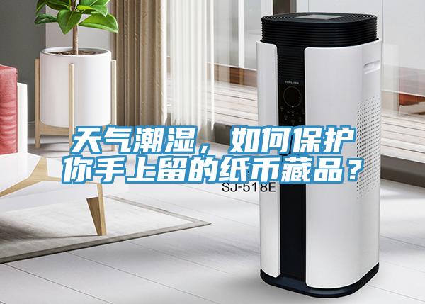 天氣潮濕，如何保護你手上留的紙幣藏品？