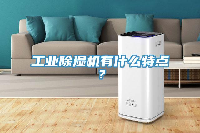 工業PICACG哔咔官网入口有什麽特點？