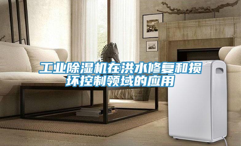 工業PICACG哔咔官网入口在洪水修複和損壞控製領域的應用