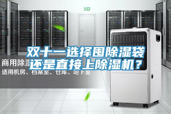 雙十一選擇囤除濕袋還是直接上PICACG哔咔官网入口？