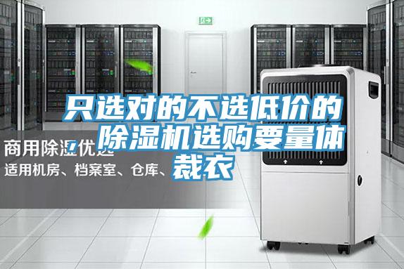 隻選對的不選低價的，PICACG哔咔官网入口選購要量體裁衣