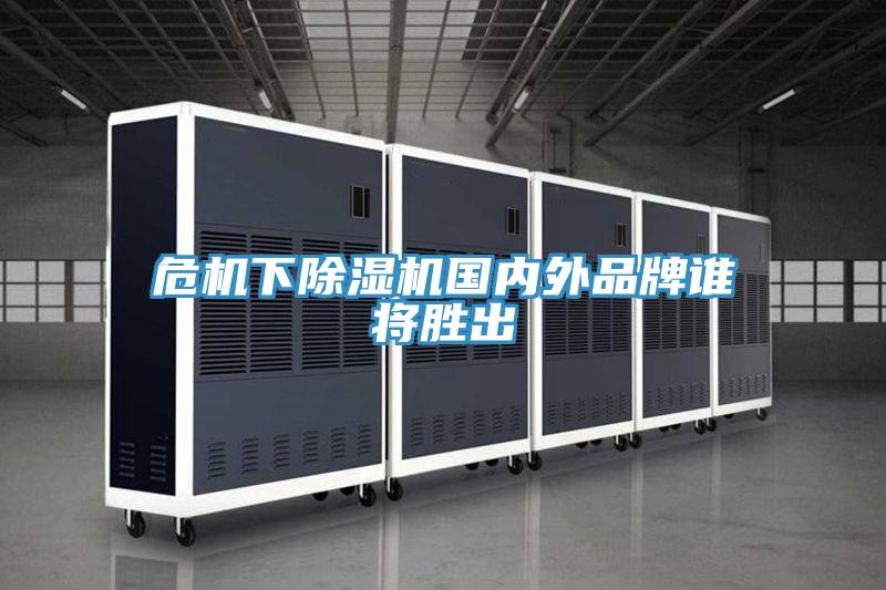 危機下PICACG哔咔官网入口國內外品牌誰將勝出