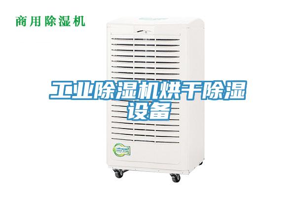 工業PICACG哔咔官网入口烘幹除濕設備