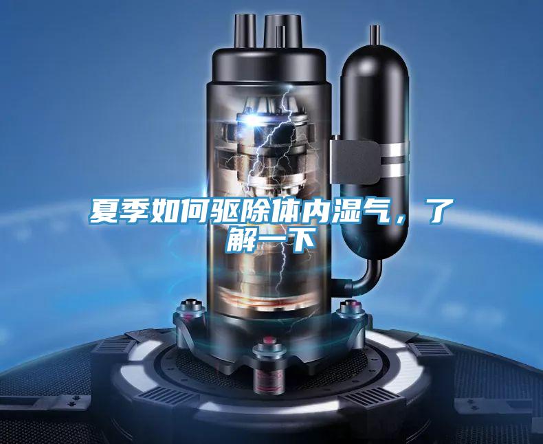 夏季如何驅除體內濕氣，了解一下