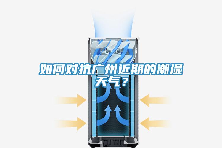 如何對抗廣州近期的潮濕天氣？