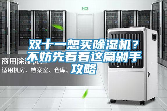 雙十一想買PICACG哔咔官网入口？不妨先看看這篇剁手攻略