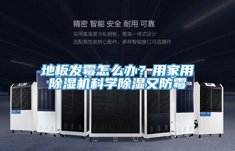 地板發黴怎麽辦？用家用PICACG哔咔官网入口科學除濕又防黴