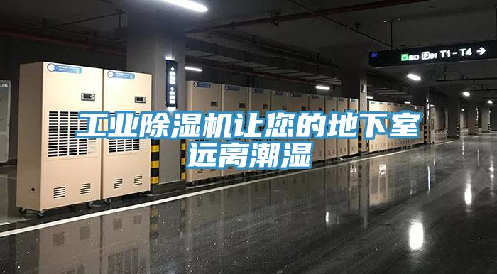 工業PICACG哔咔官网入口讓您的地下室遠離潮濕