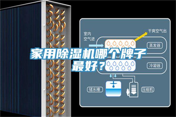 家用PICACG哔咔官网入口哪個牌子最好？