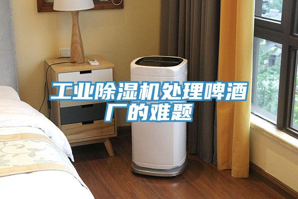 工業PICACG哔咔官网入口處理啤酒廠的難題