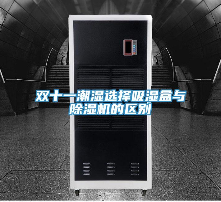 雙十一潮濕選擇吸濕盒與PICACG哔咔官网入口的區別