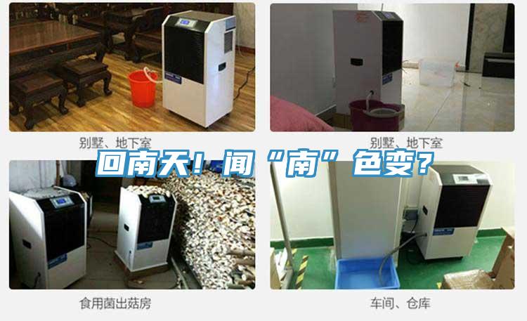 回南天！聞“南”色變？