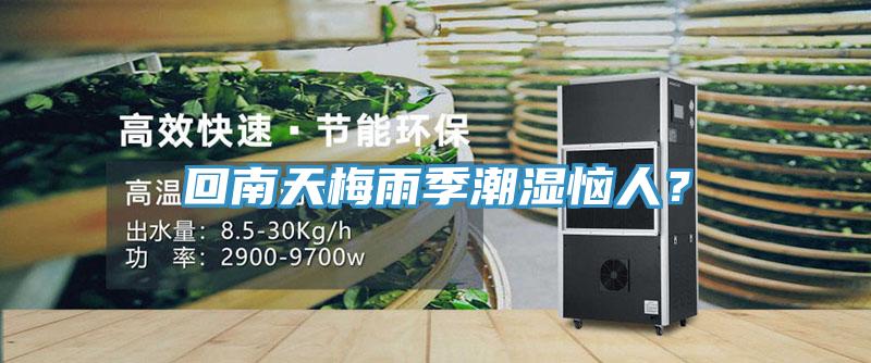 回南天梅雨季潮濕惱人？