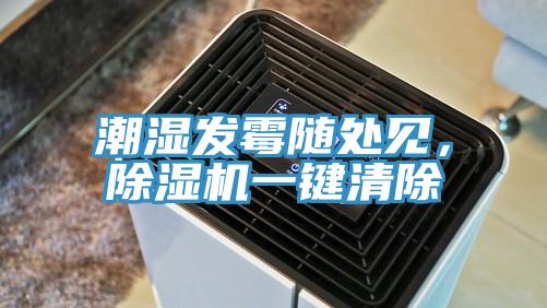 潮濕發黴隨處見，PICACG哔咔官网入口一鍵清除