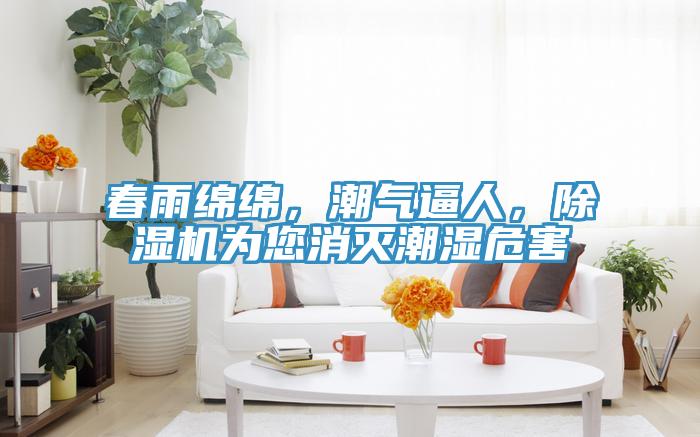 春雨綿綿，潮氣逼人，PICACG哔咔官网入口為您消滅潮濕危害