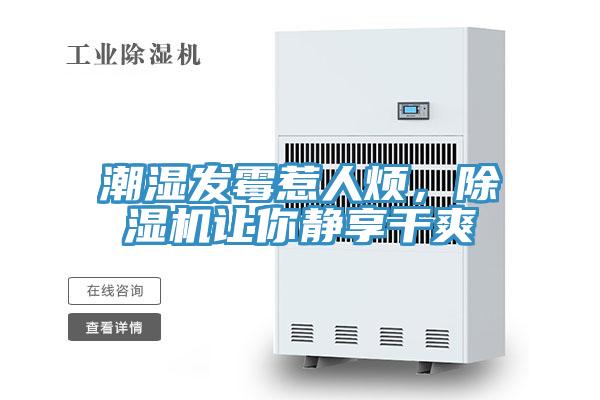 潮濕發黴惹人煩，PICACG哔咔官网入口讓你靜享幹爽