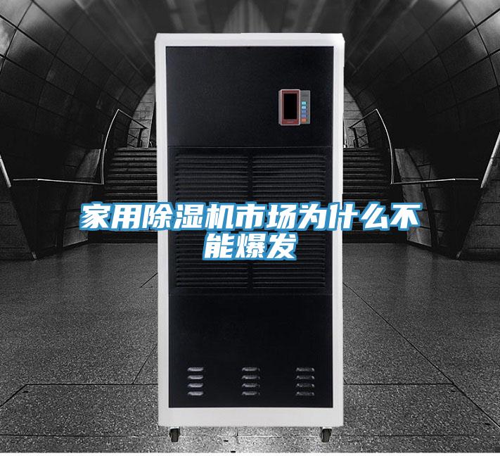 家用PICACG哔咔官网入口市場為什麽不能爆發