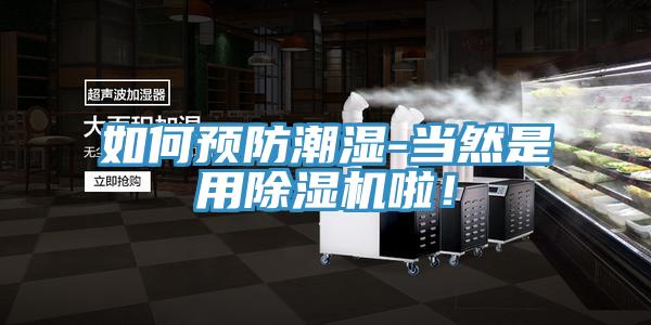 如何預防潮濕-當然是用PICACG哔咔官网入口啦！