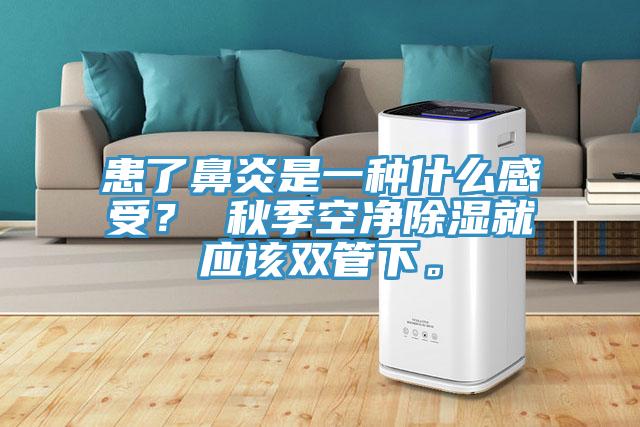 患了鼻炎是一種什麽感受？ 秋季空淨除濕就應該雙管下。