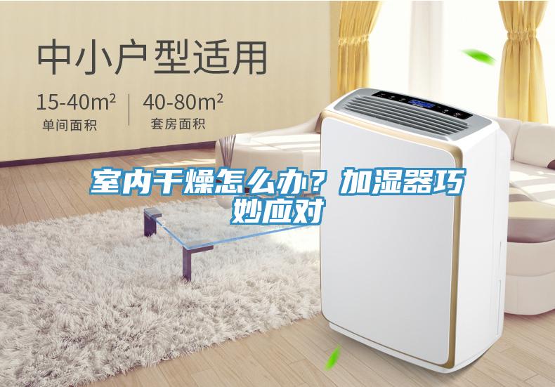 室內幹燥怎麽辦？加濕器巧妙應對
