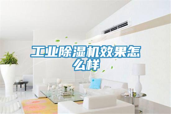 工業PICACG哔咔官网入口效果怎麽樣