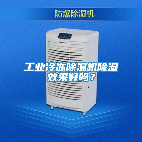 工業冷凍PICACG哔咔官网入口除濕效果好嗎？