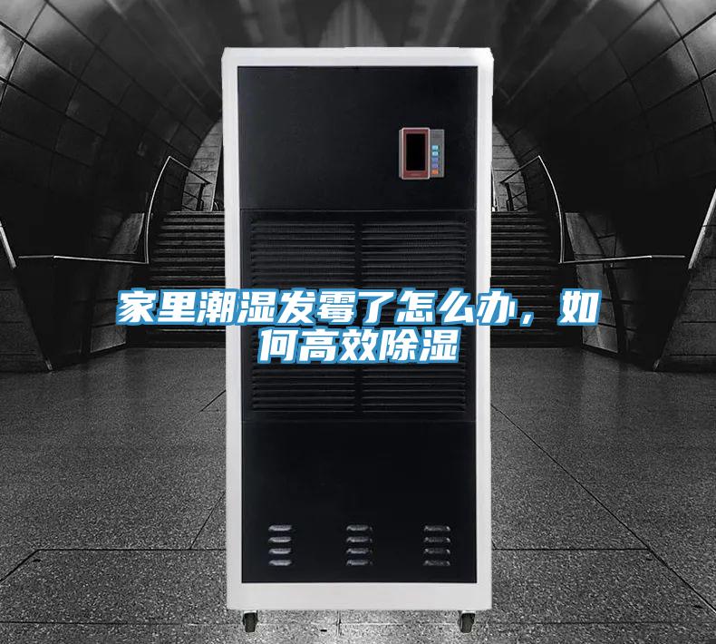 家裏潮濕發黴了怎麽辦，如何高效除濕
