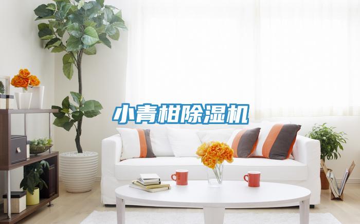 小青柑PICACG哔咔官网入口