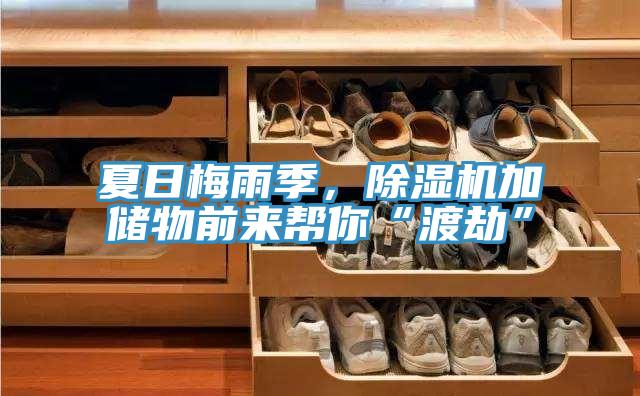 夏日梅雨季，PICACG哔咔官网入口加儲物前來幫你“渡劫”