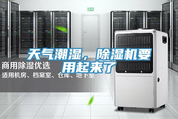 天氣潮濕，PICACG哔咔官网入口要用起來了