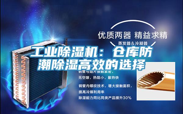 工業PICACG哔咔官网入口：倉庫防潮除濕高效的選擇