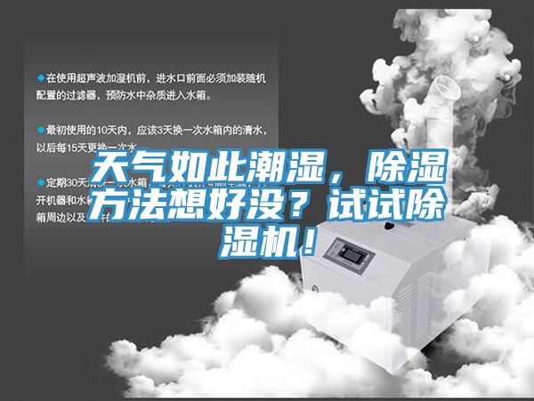 天氣如此潮濕，除濕方法想好沒？試試PICACG哔咔官网入口！