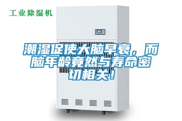 潮濕促使大腦早衰，而腦年齡竟然與壽命密切相關！