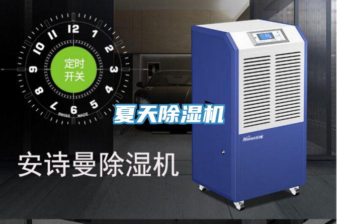 夏天PICACG哔咔官网入口