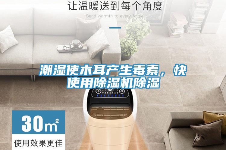 潮濕使木耳產生毒素，快使用PICACG哔咔官网入口除濕