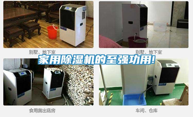 家用PICACG哔咔官网入口的至強功用!