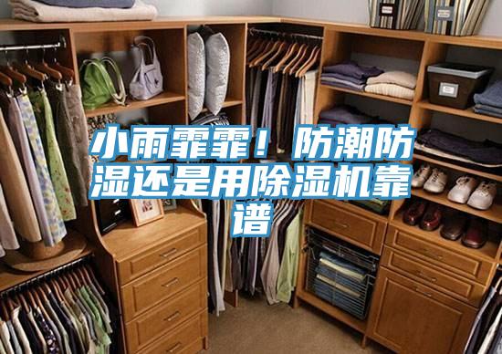 小雨霏霏！防潮防濕還是用PICACG哔咔官网入口靠譜