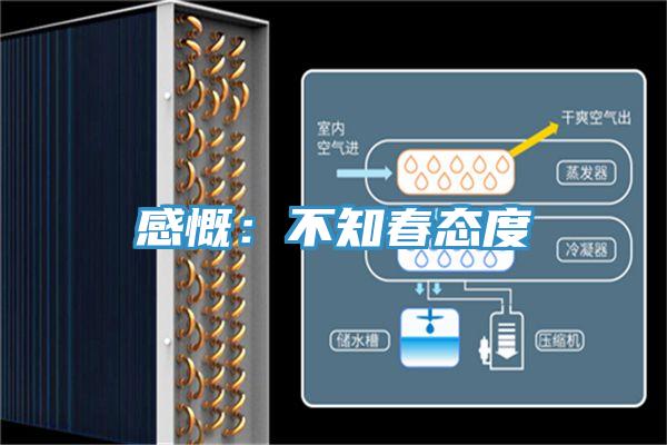 感慨：不知春態度