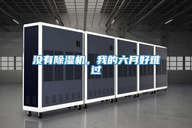 沒有PICACG哔咔官网入口，我的六月好難過