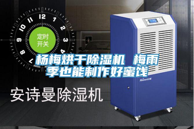 楊梅烘幹PICACG哔咔官网入口 梅雨季也能製作好蜜餞