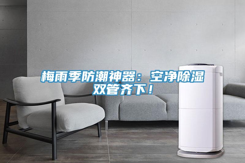 梅雨季防潮神器：空淨除濕雙管齊下！