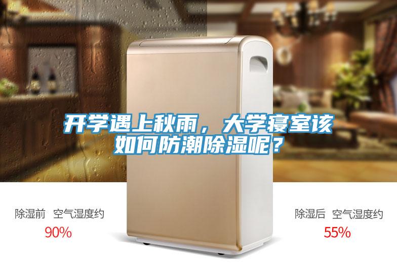 開學遇上秋雨，大學寢室該如何防潮除濕呢？